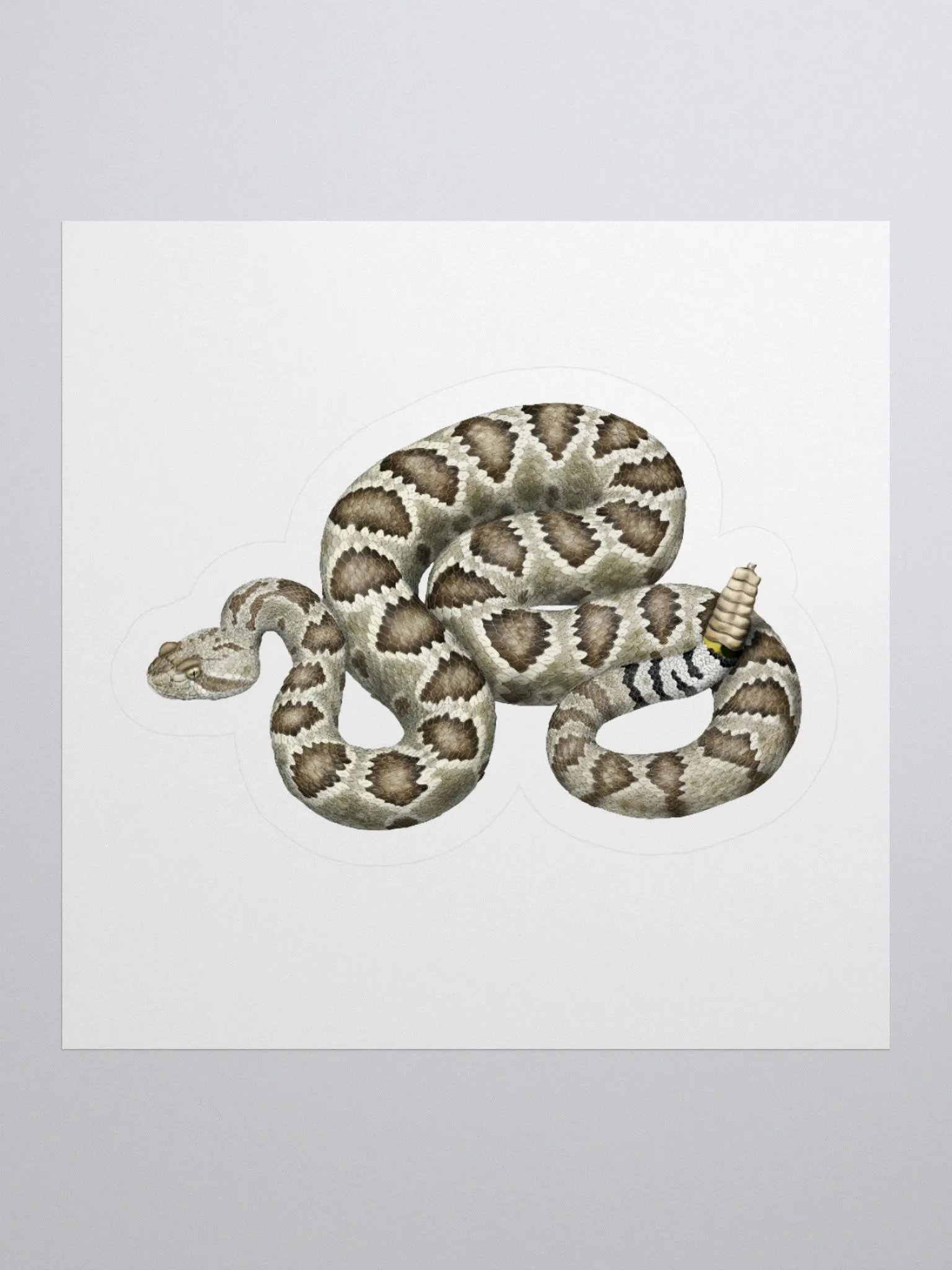 Die-Cut Sticker – Mojave Rattlesnake product image (1)