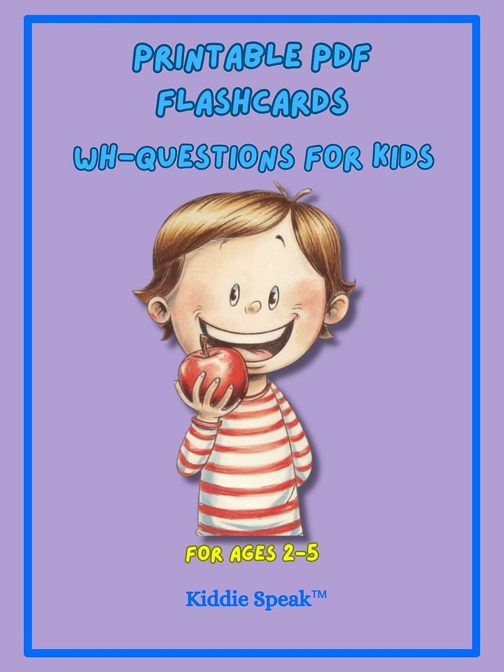 WH Questions Flashcards for Kids product image (1)