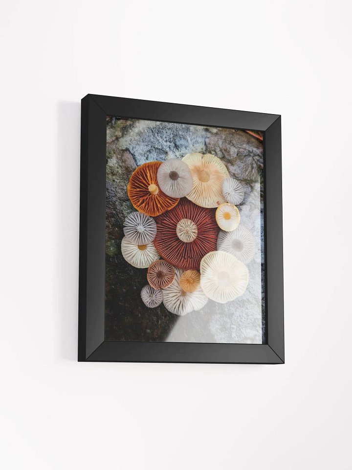 Fungal Color Palette (Frame) product image (2)