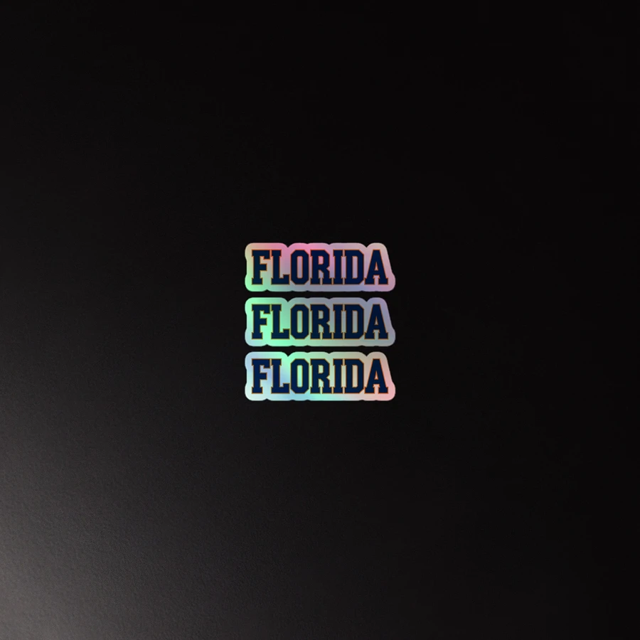 3 Florida Bold Holographic Sticker Set product image (3)