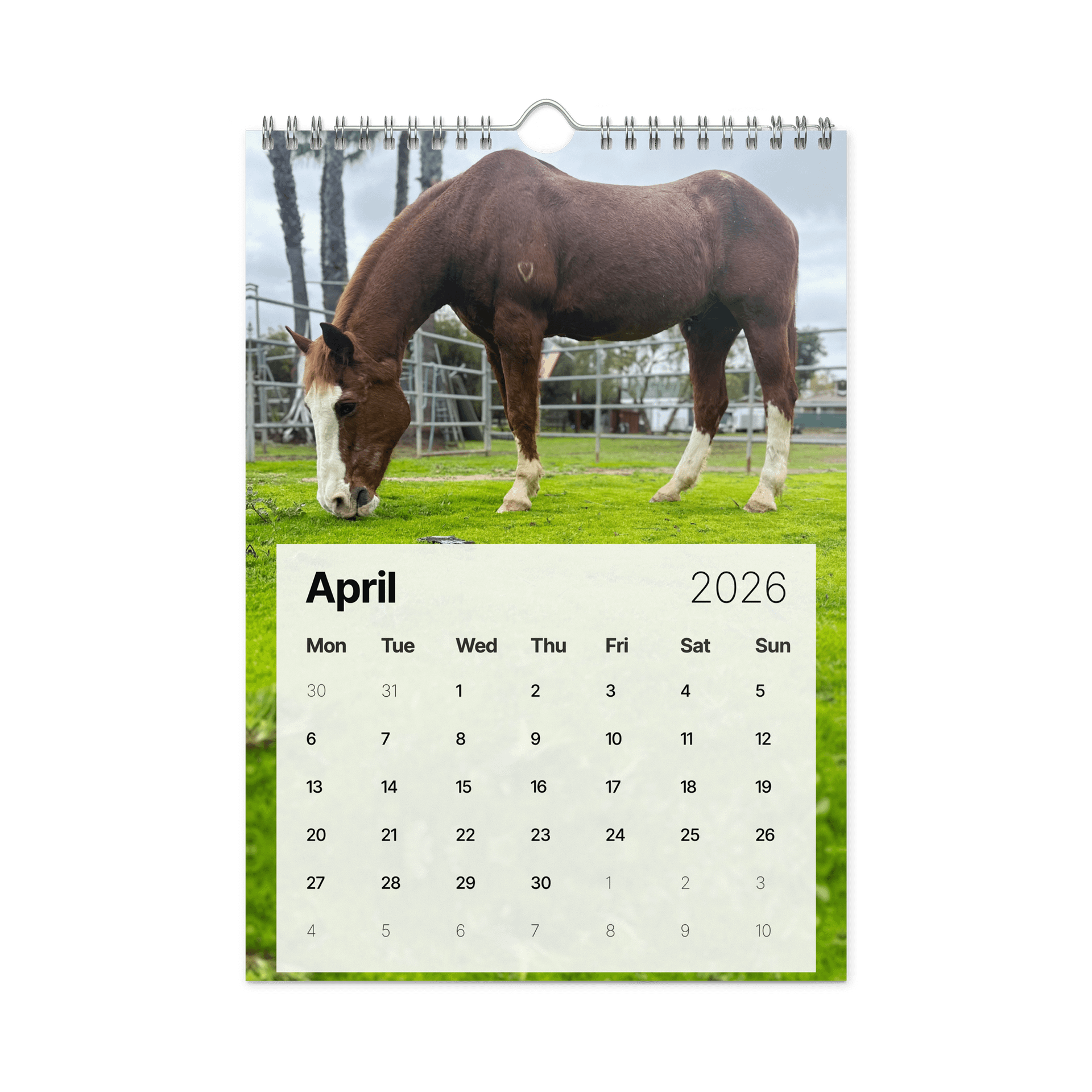 2026 Souls of Sorrels Wall Calendar product image (1)
