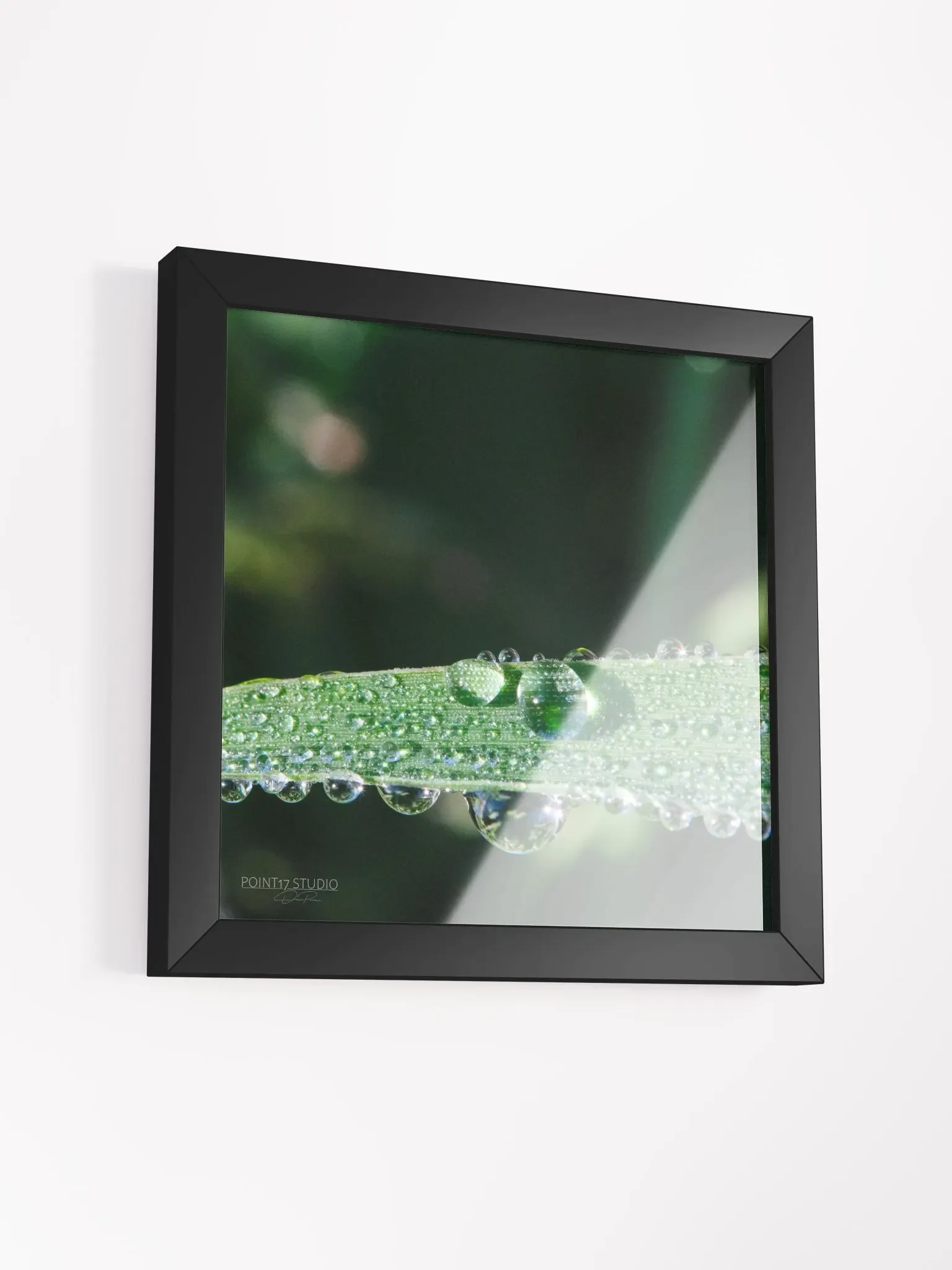Dew Gems #2 - Framed Print product image (19)