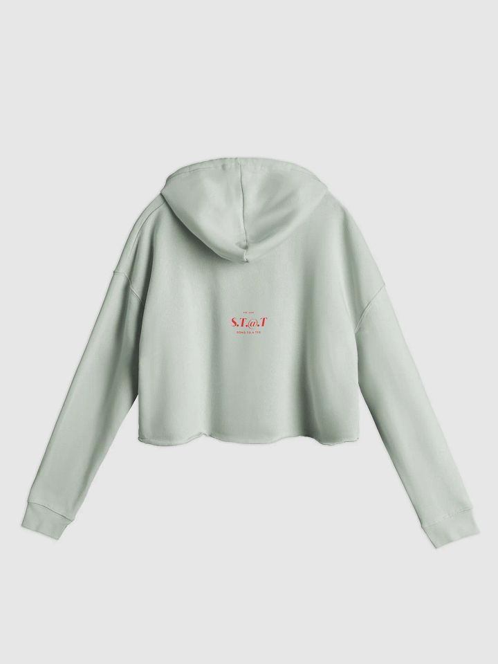 $.T.@.T - C@$H@PP M3 Crop Hoodie product image (8)