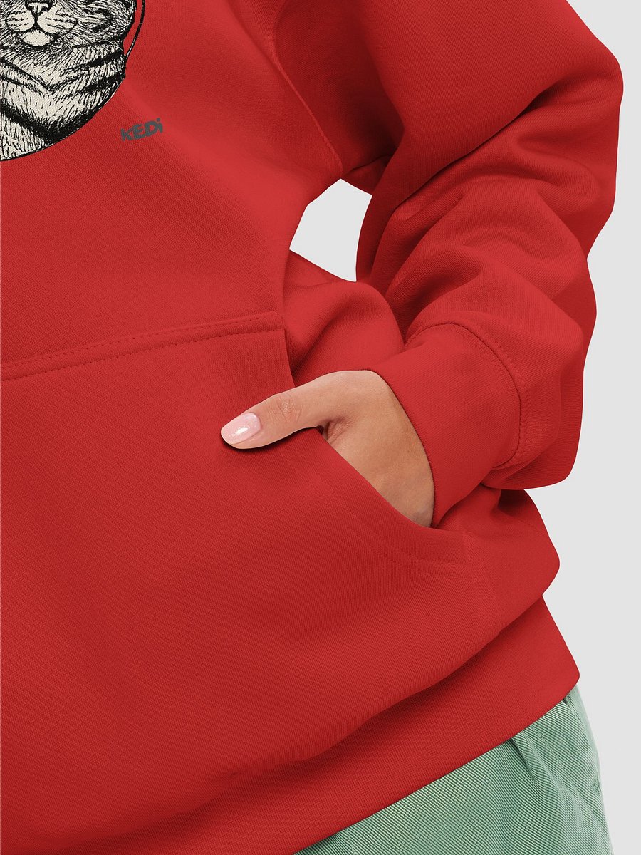 Tabby Duo Premium Hoodie product image (16)