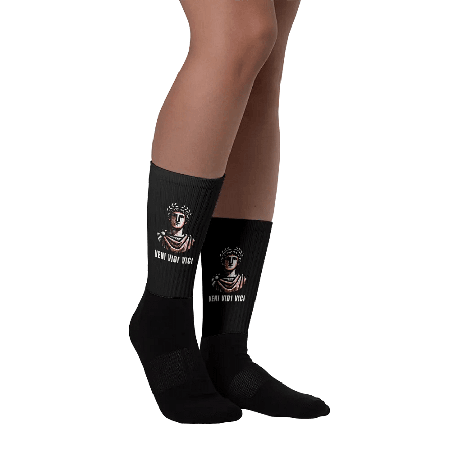 Veni Vidi Vici Socks product image (10)
