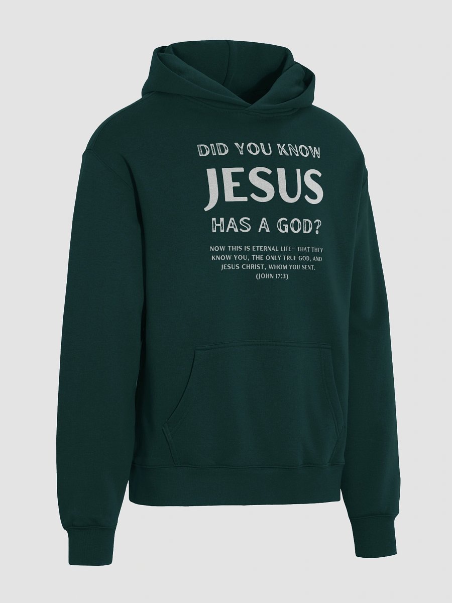 Jesus Has a God Premium Oversized Hoodie product image (12)