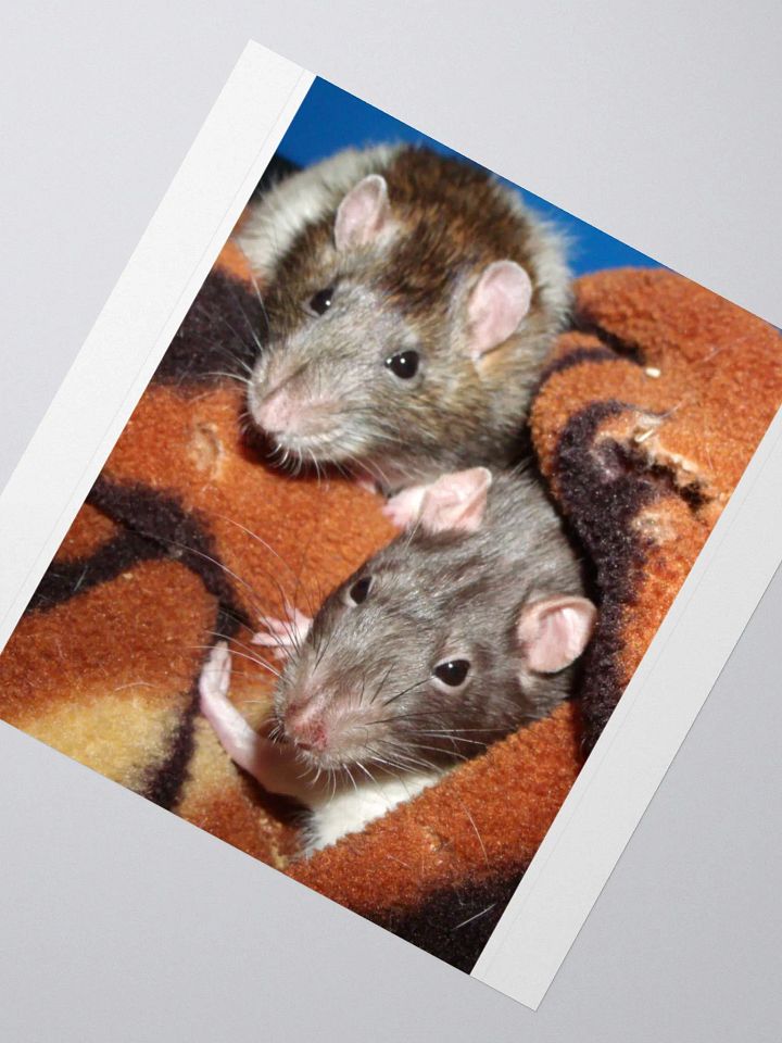 Cute rats sticker product image (4)