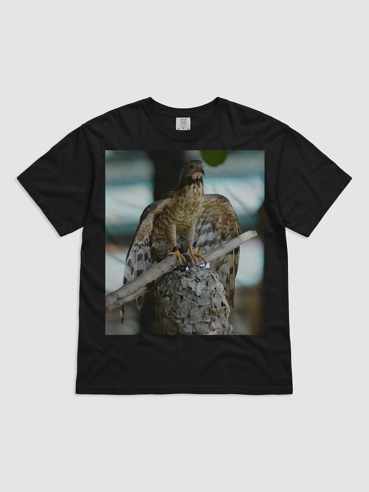 Cloud Comfort: Garment-Dyed Tee product image (1)