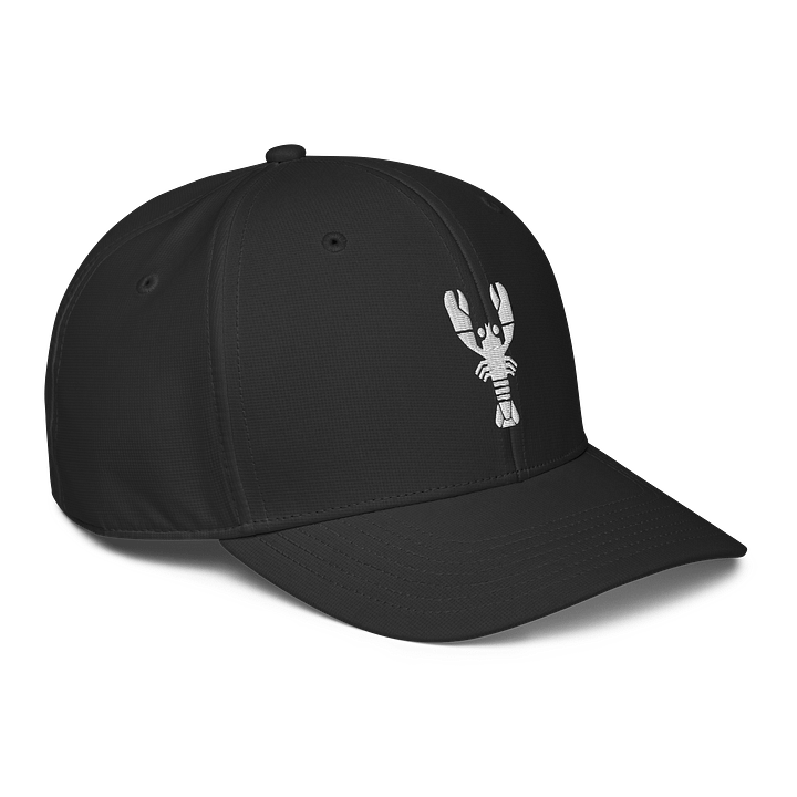 Lobster Claw Performance Cap product image (1)