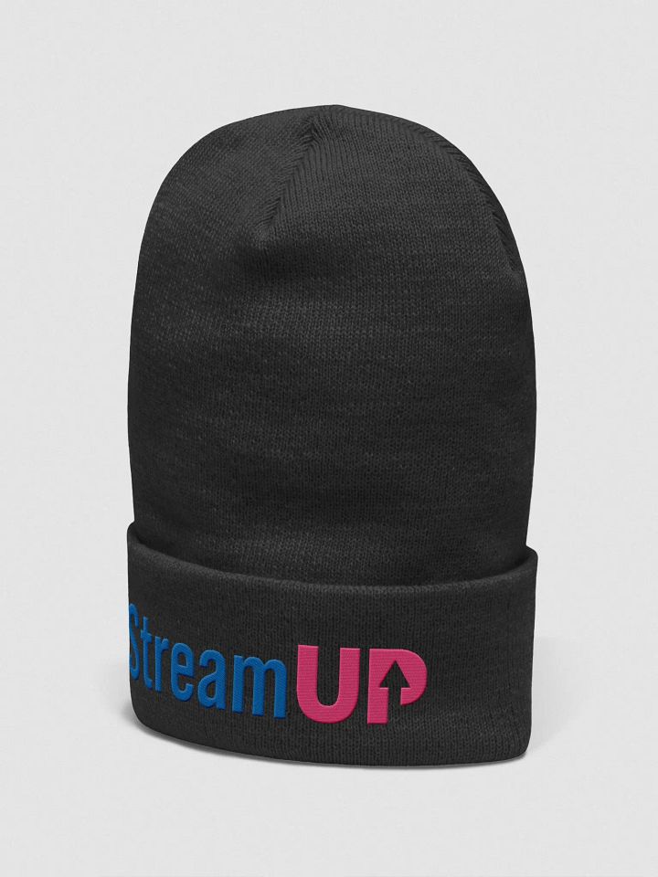 Playful StreamUP Beanie product image (2)