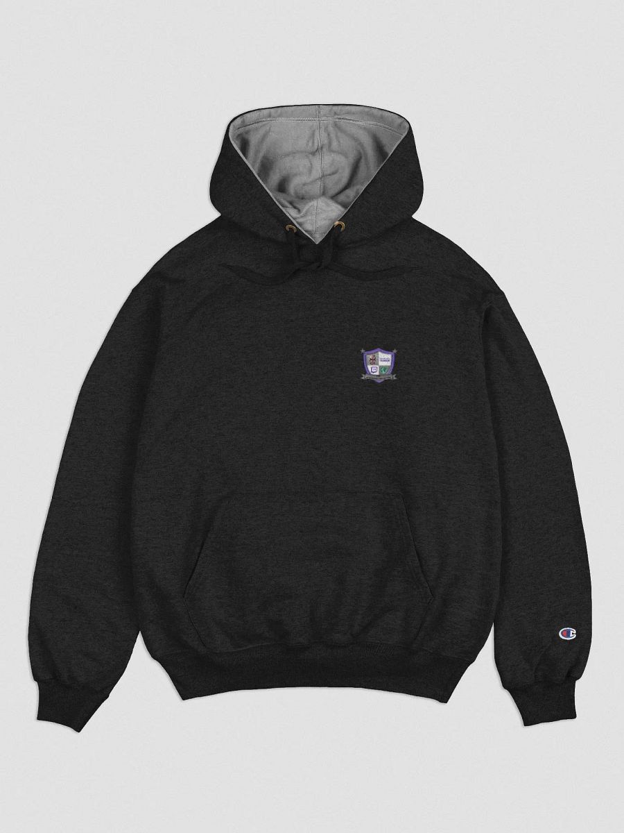 The Streaming Collective - Champion Cotton Max Hoodie product image (1)