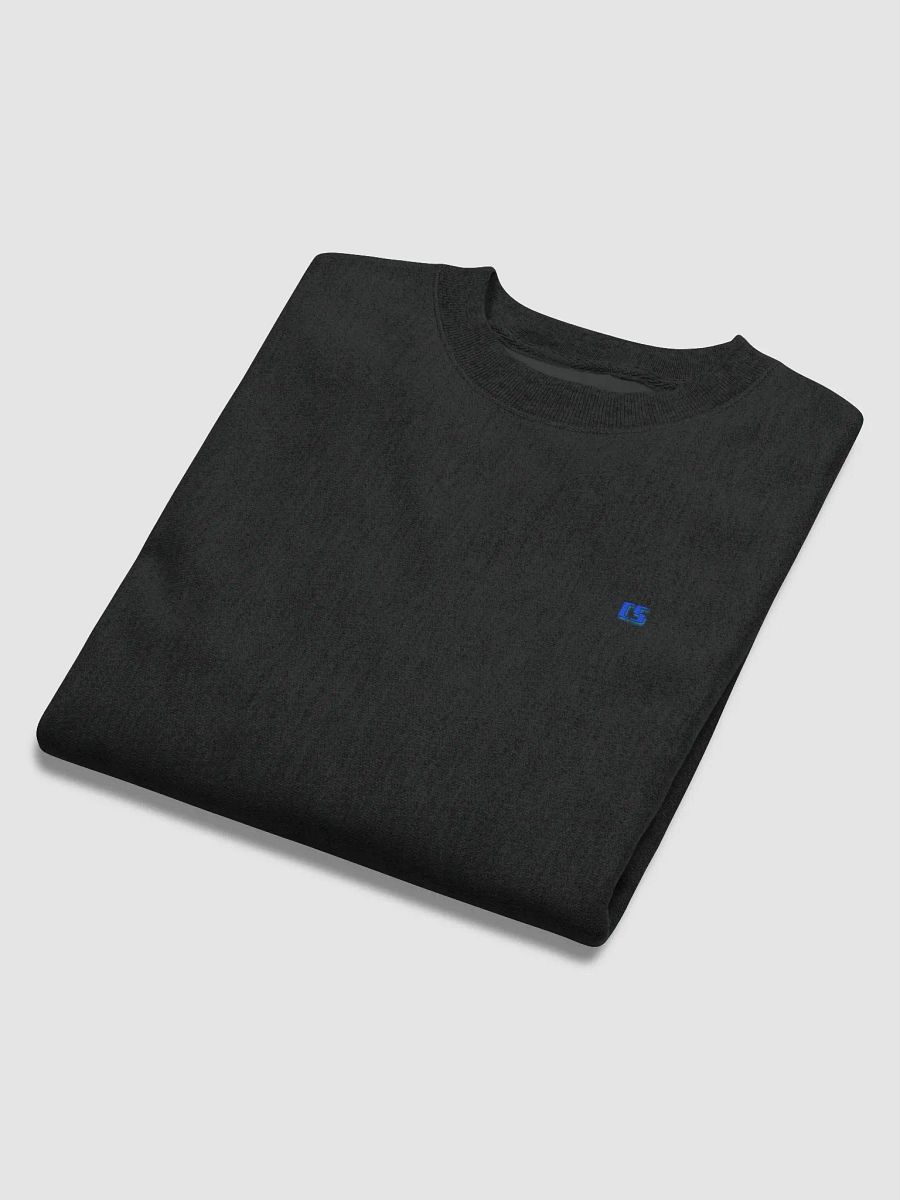 CS Champion SweatShirt product image (6)