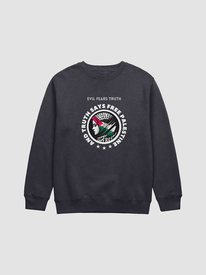 Free Spirit Profile Crewneck Sweatshirt | Evil fears truth, and truth says: Free Palestine. product image (13)