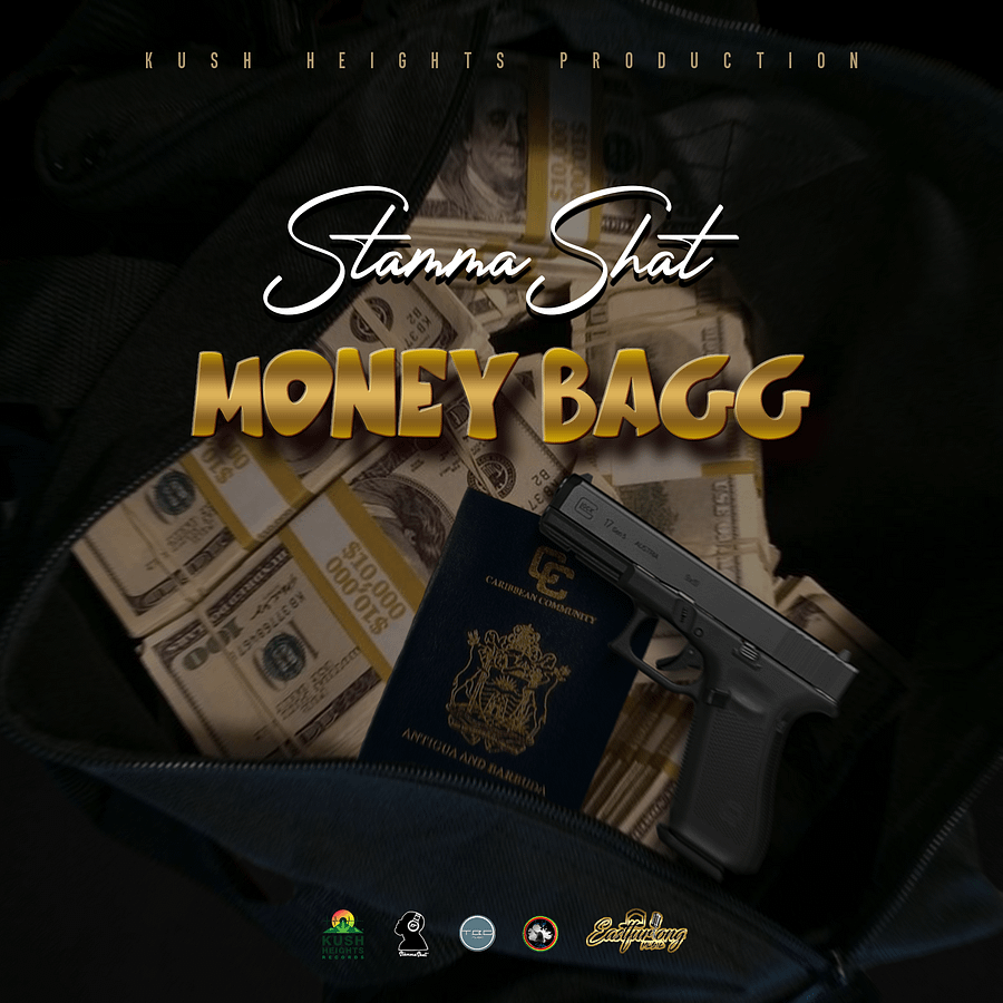 Standard Custom Cover Art Design – Perfect for Music & Podcasts. product image (12)