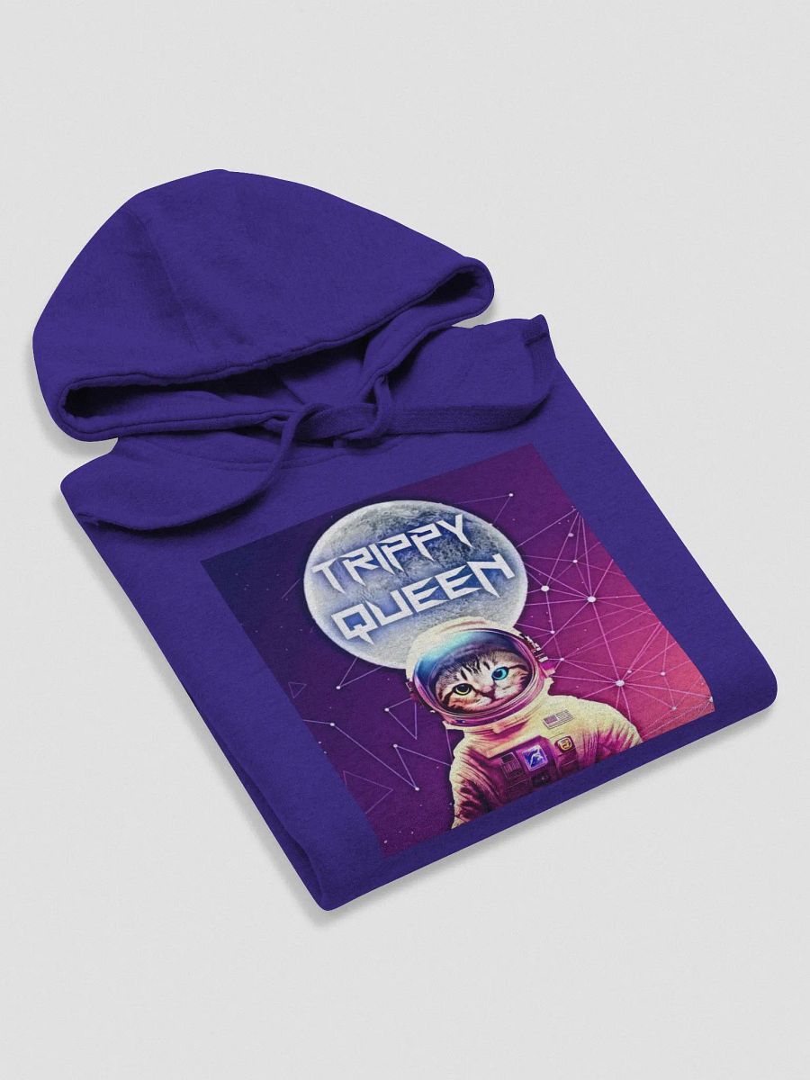 Astro- Cat Hoodie (Front Only) with White Sleeve Detail. product image (4)