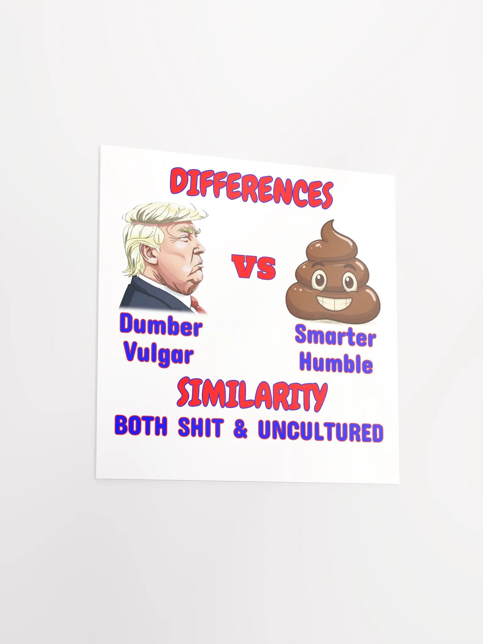 Differences vs Similarity Poster product image (14)