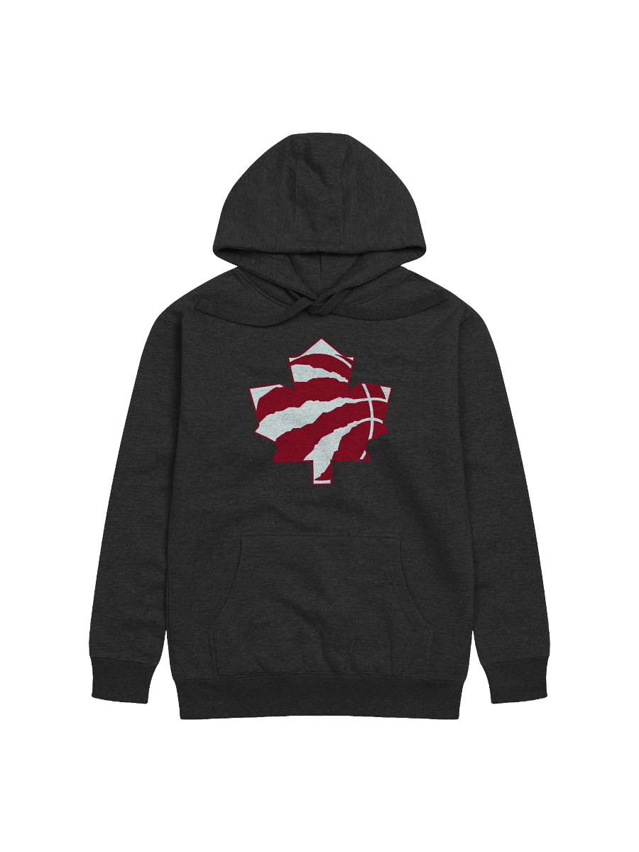Toronto Dinos Hoodie product image (1)