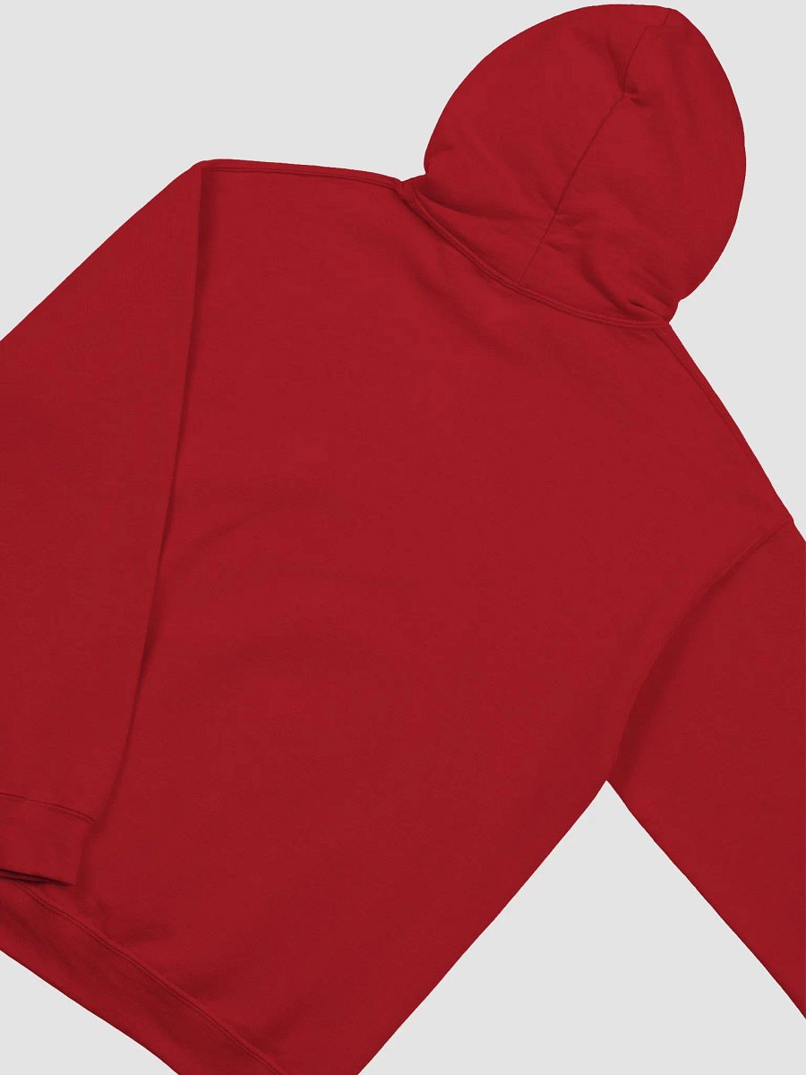 TOES classic hoodie product image (5)