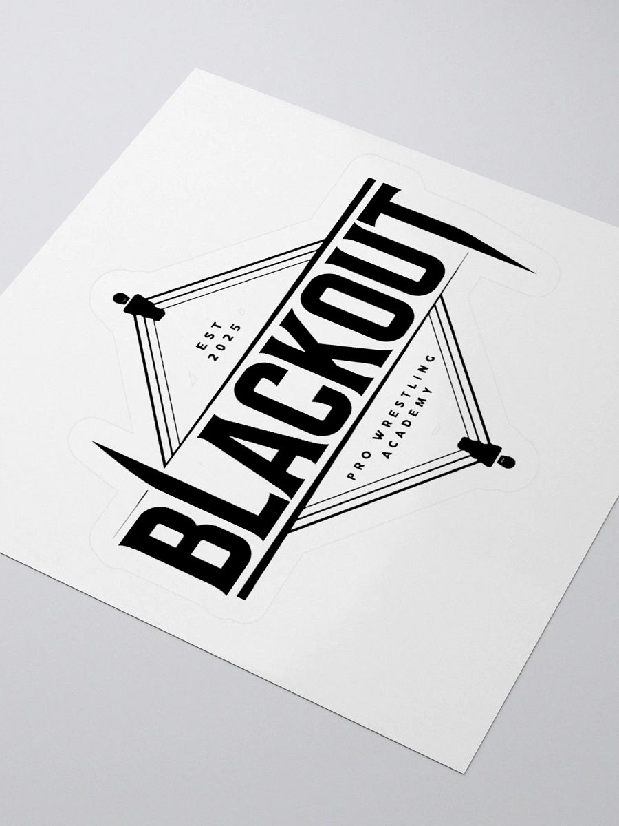 DMW x BLACKOUT Sticker product image (7)