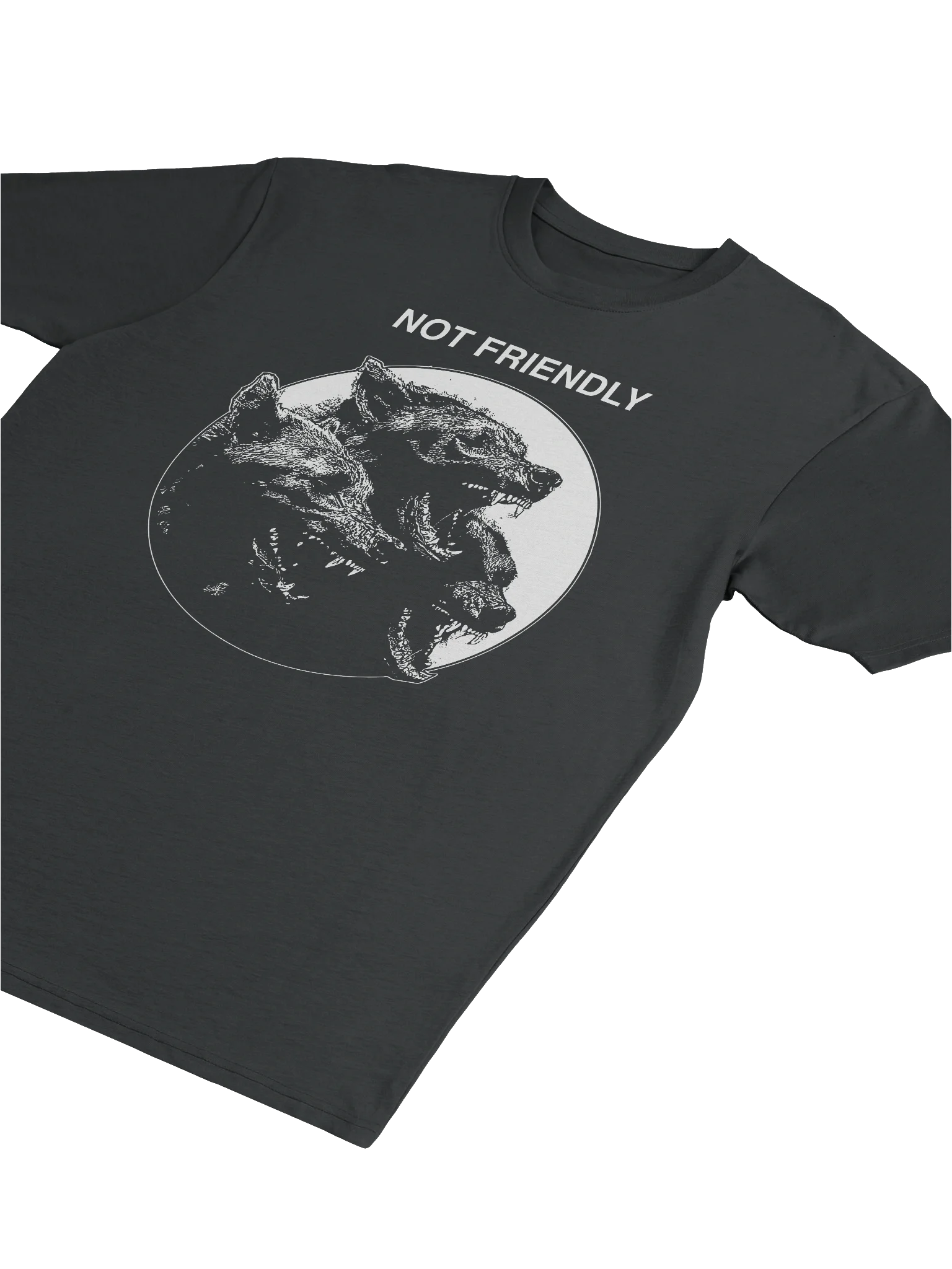 NOT FRIENDLY product image (5)