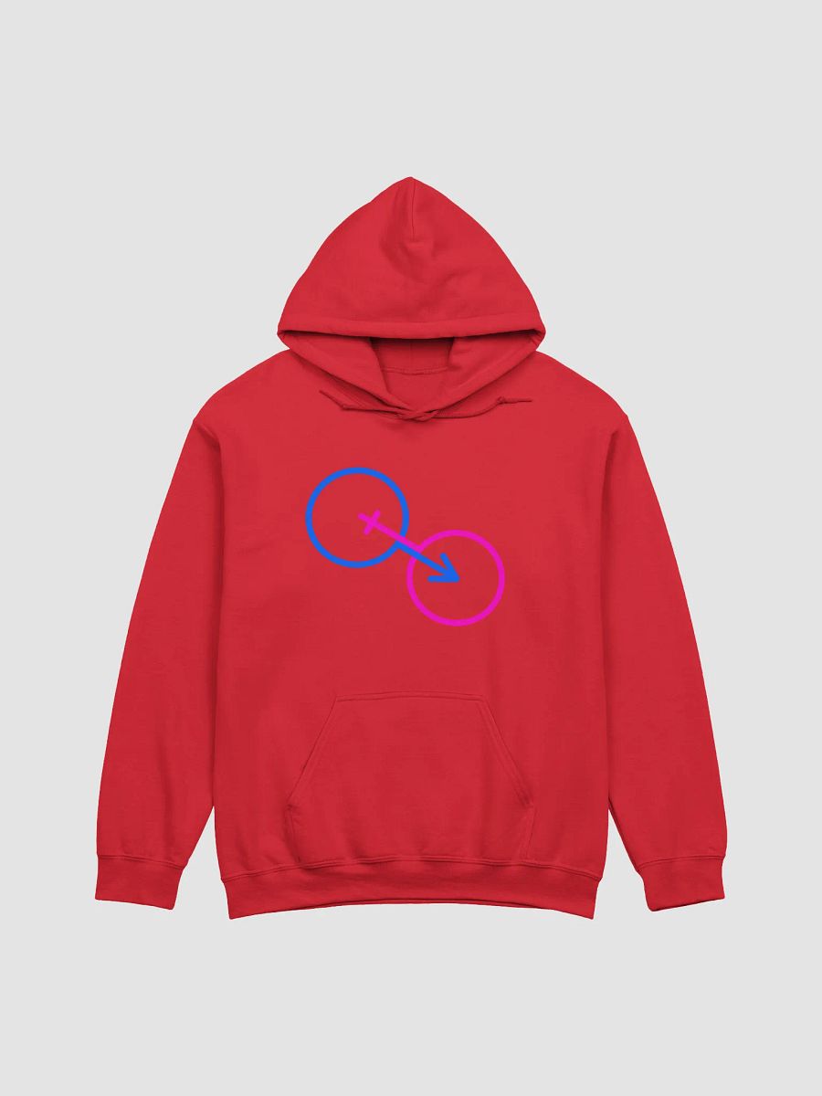 Male Blue, Female Pink Hoodie product image (1)