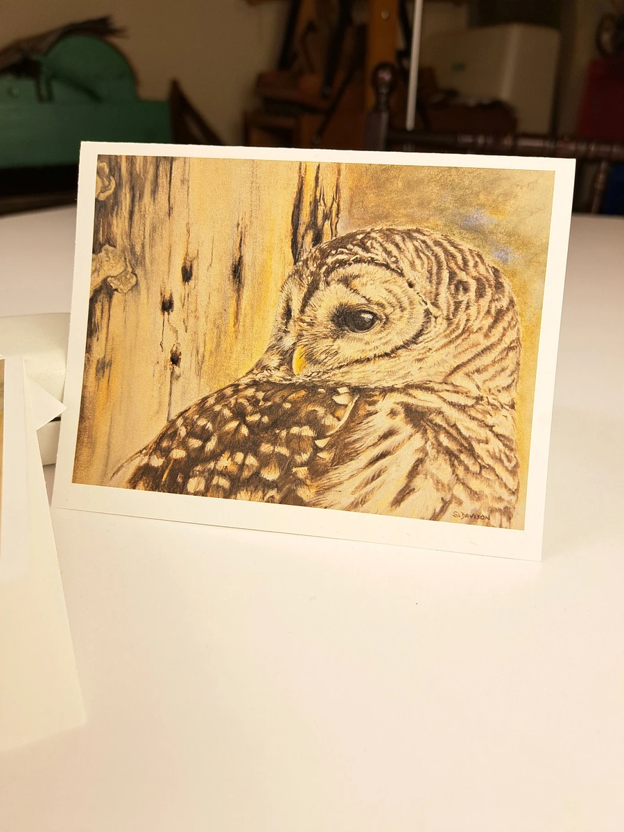 Wildlife Art Greeting Card - Barred Owl - Shipping Included product image (4)