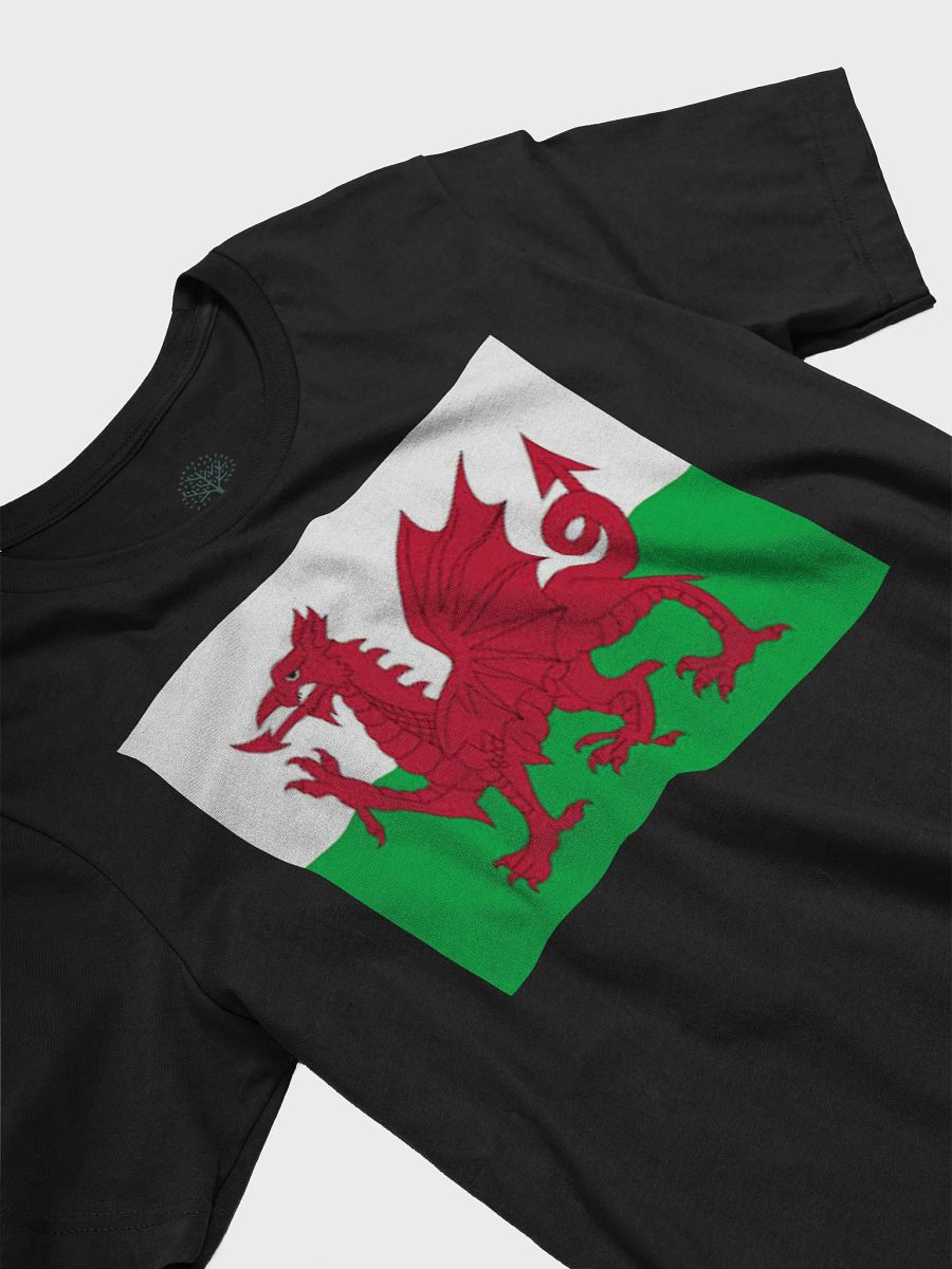 Exclusive Supersoft Unisex Welsh Flag T-Shirt by Graphic Grove product image (5)