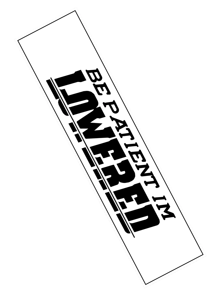 Be Patient Im Lowered product image (2)