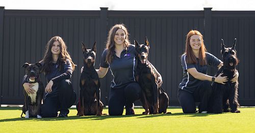 Recent headshots for Imperial Canine Obedience! We love highlighting the dedicated trainers and their amazing canine companions.