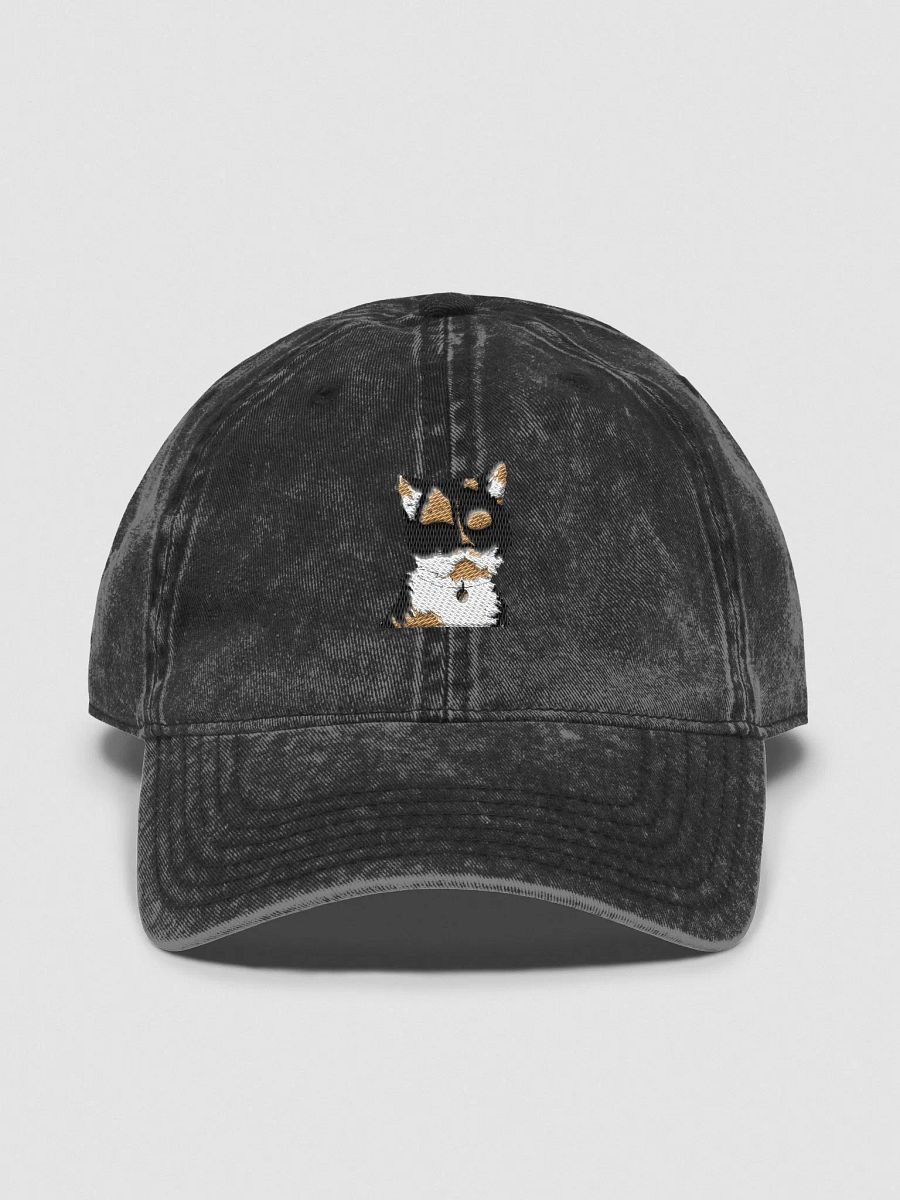 Precious Dad hat product image (1)