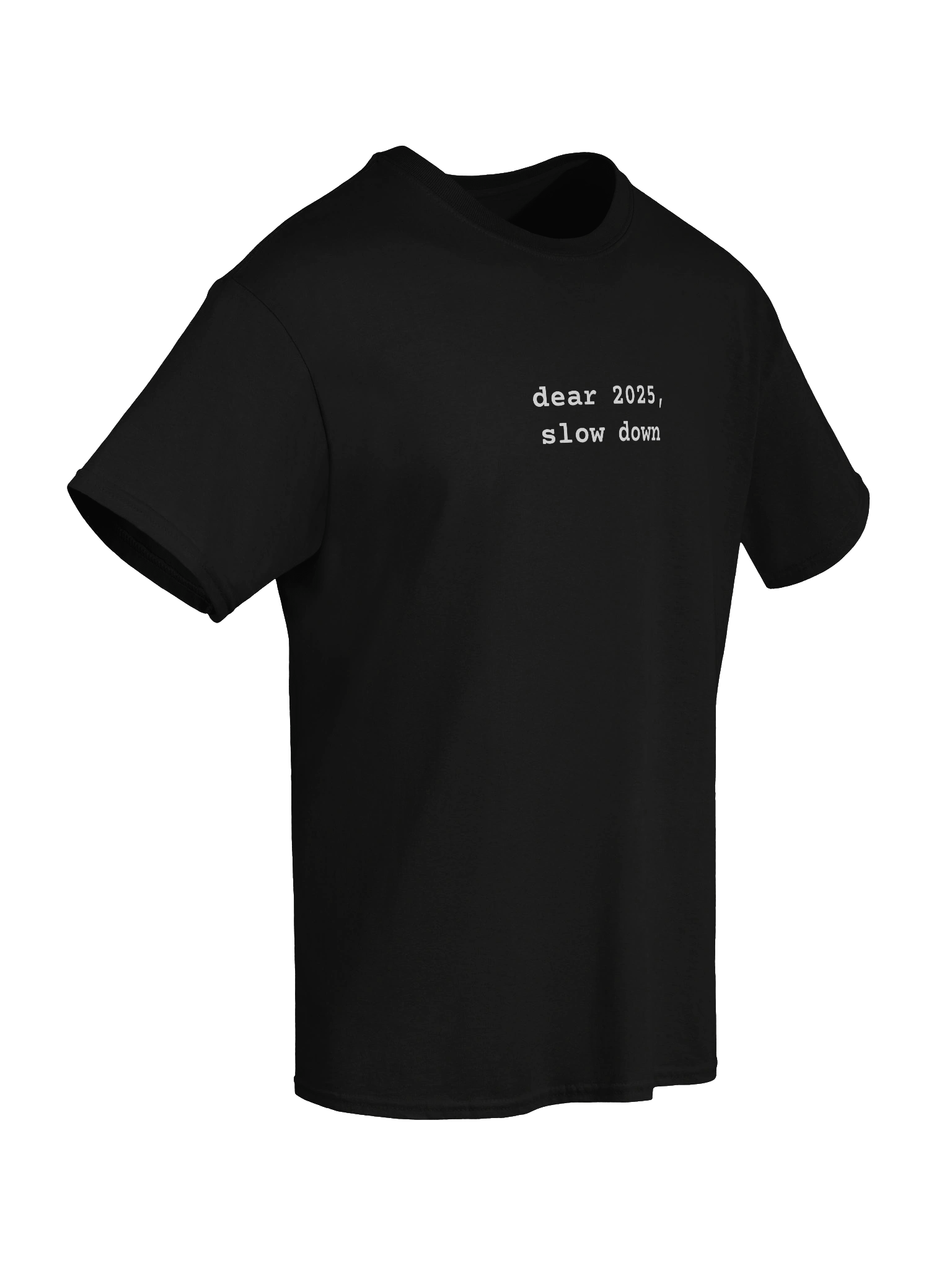 Funny Unisex T-Shirt 2025 - dear 2025, slow down product image (8)