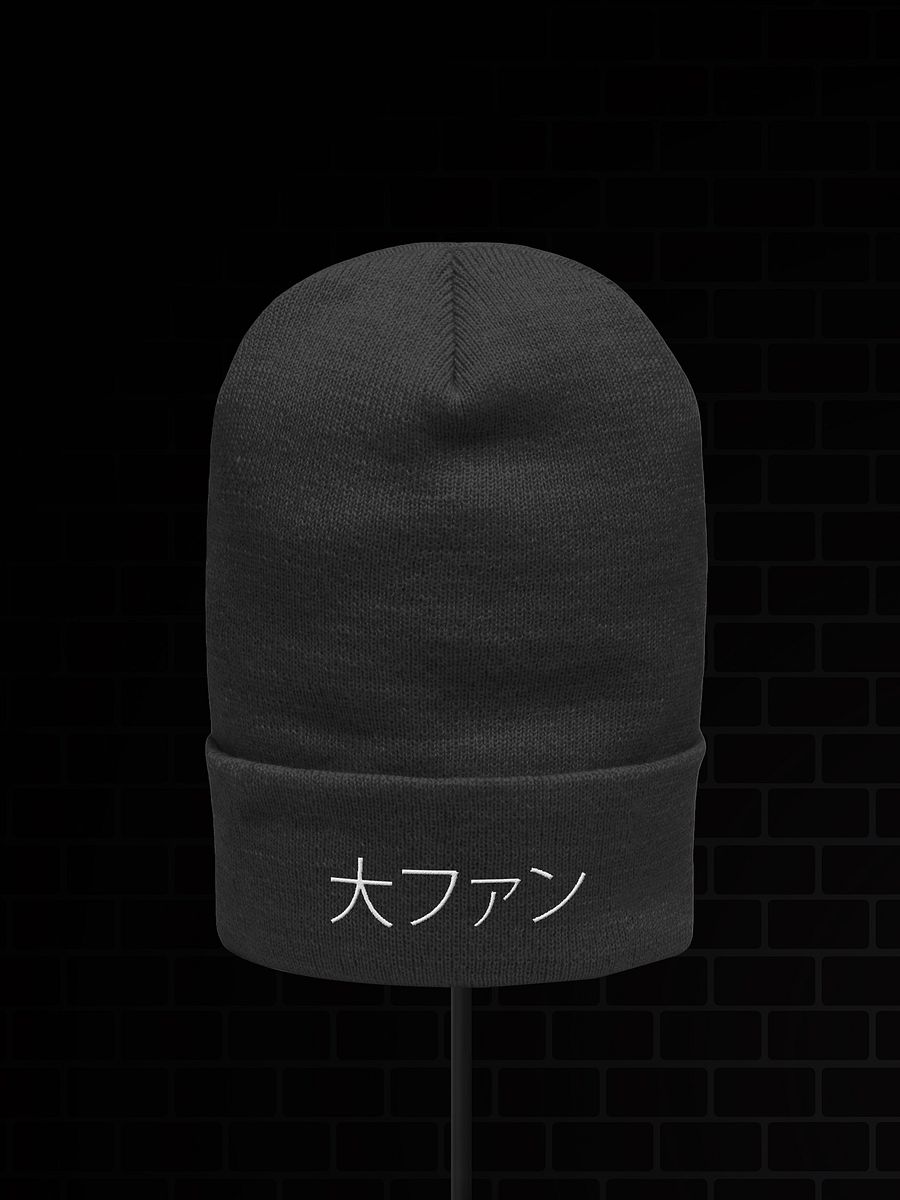 "BIG FAN" BEANIE product image (6)