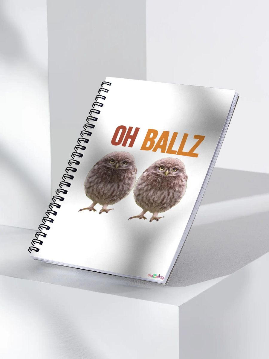 Oh Ballz Notebook product image (4)