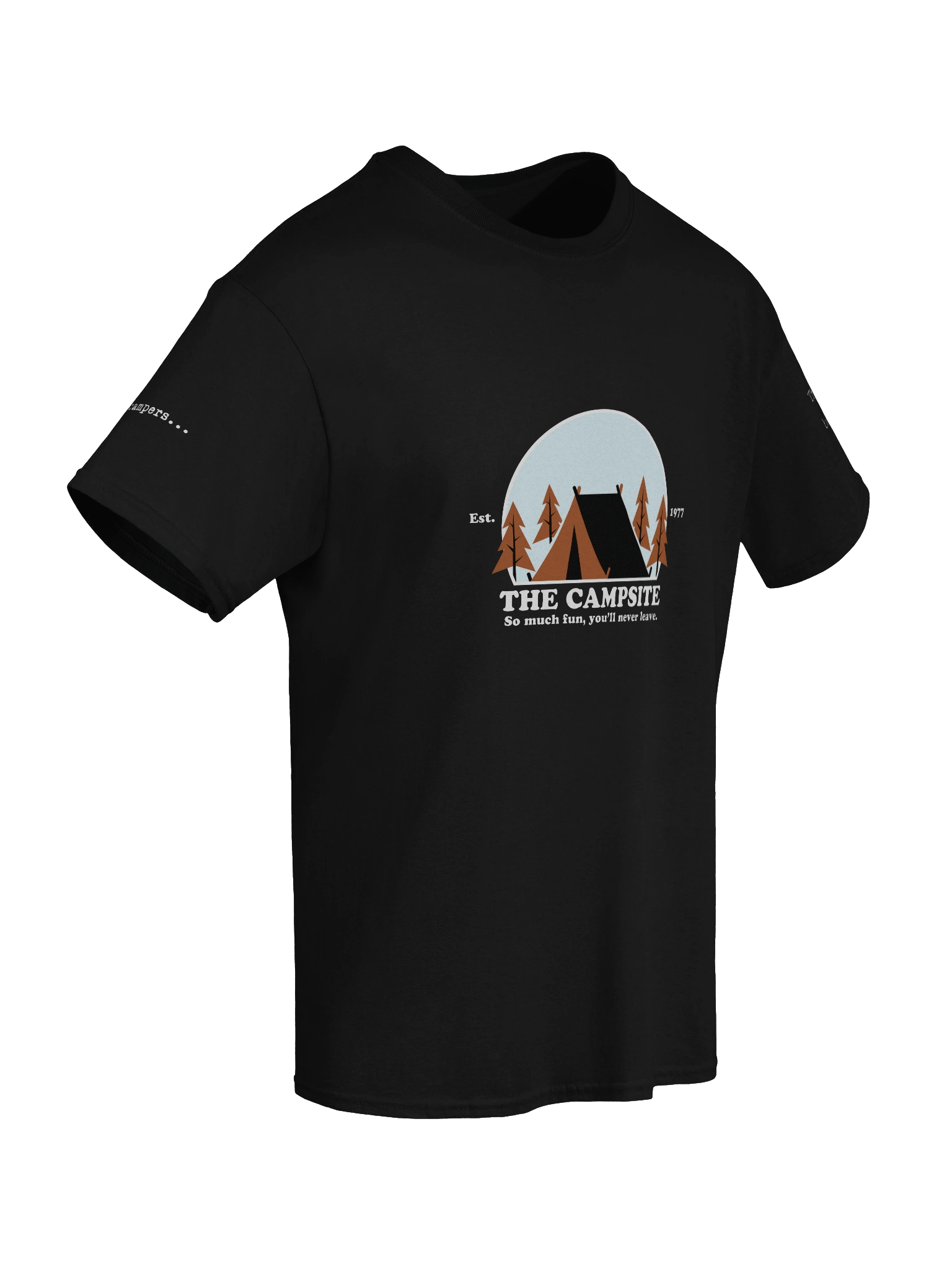 Heavyweight Unisex Campsite Tee product image (8)