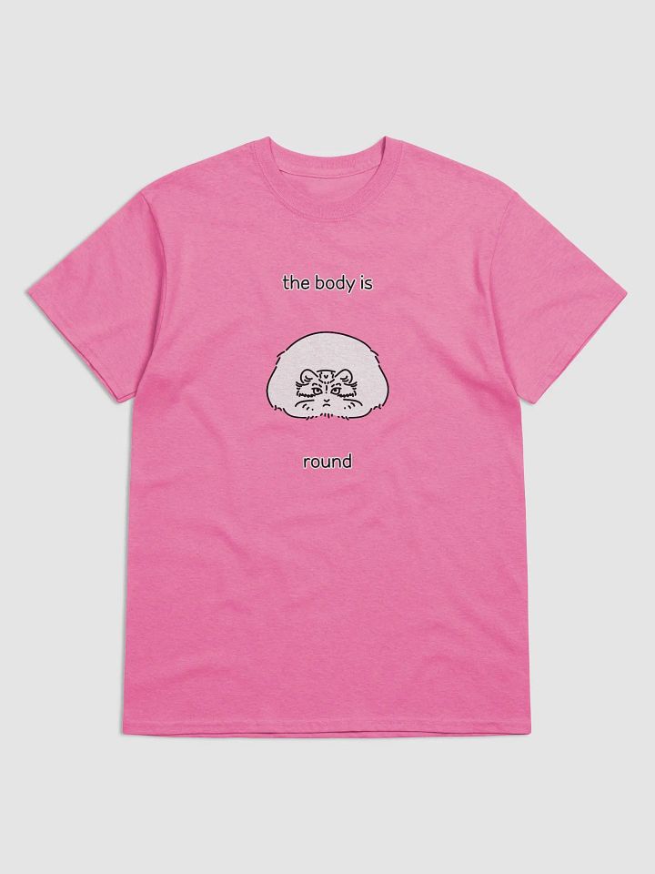 The Body Is Round - Gildan Unisex T-Shirt product image (3)