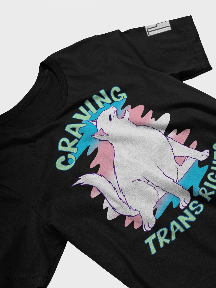 Happy Pride: Transgender T-shirt product image (25)