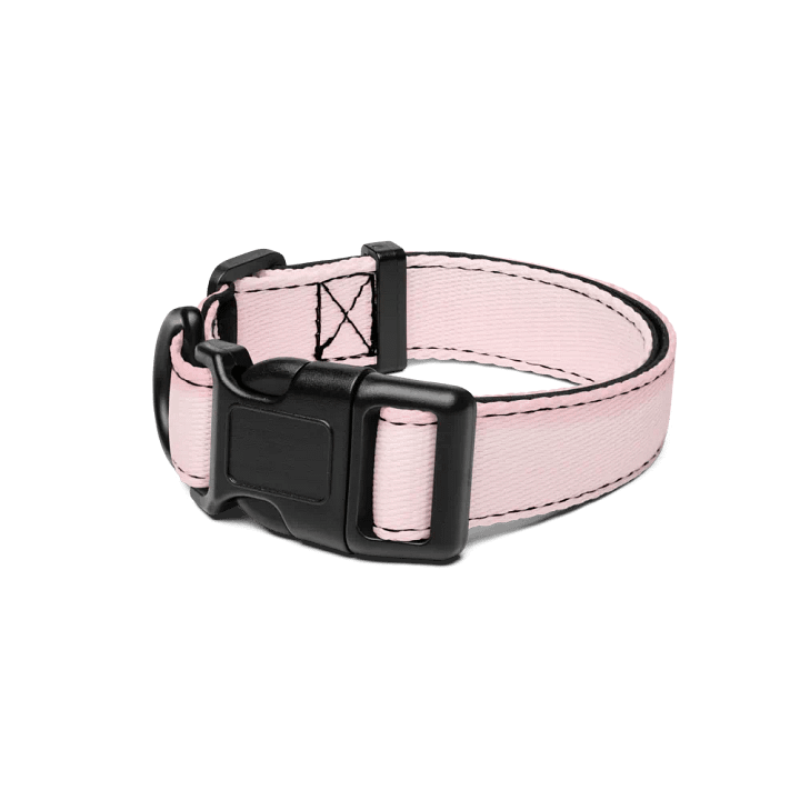 Pink Gradient Pet Collar product image (1)