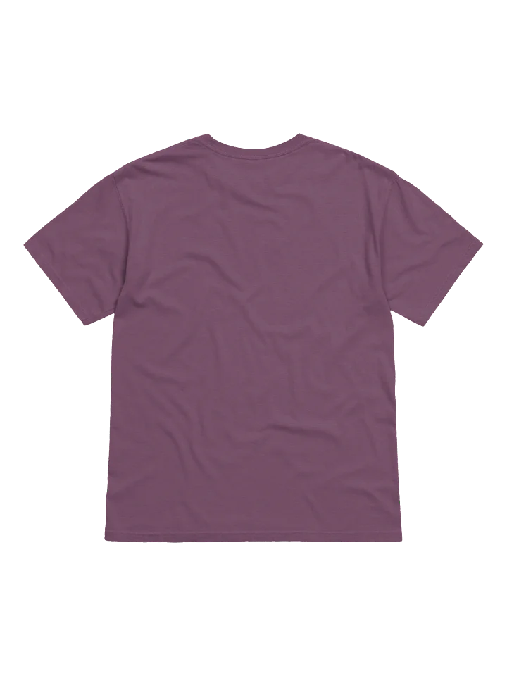 WASHINGTON Sunday School Comfort Colors Tee product image (2)