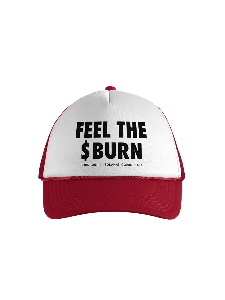 FEEL THE $BURN Baseball Hat - Light product image (1)