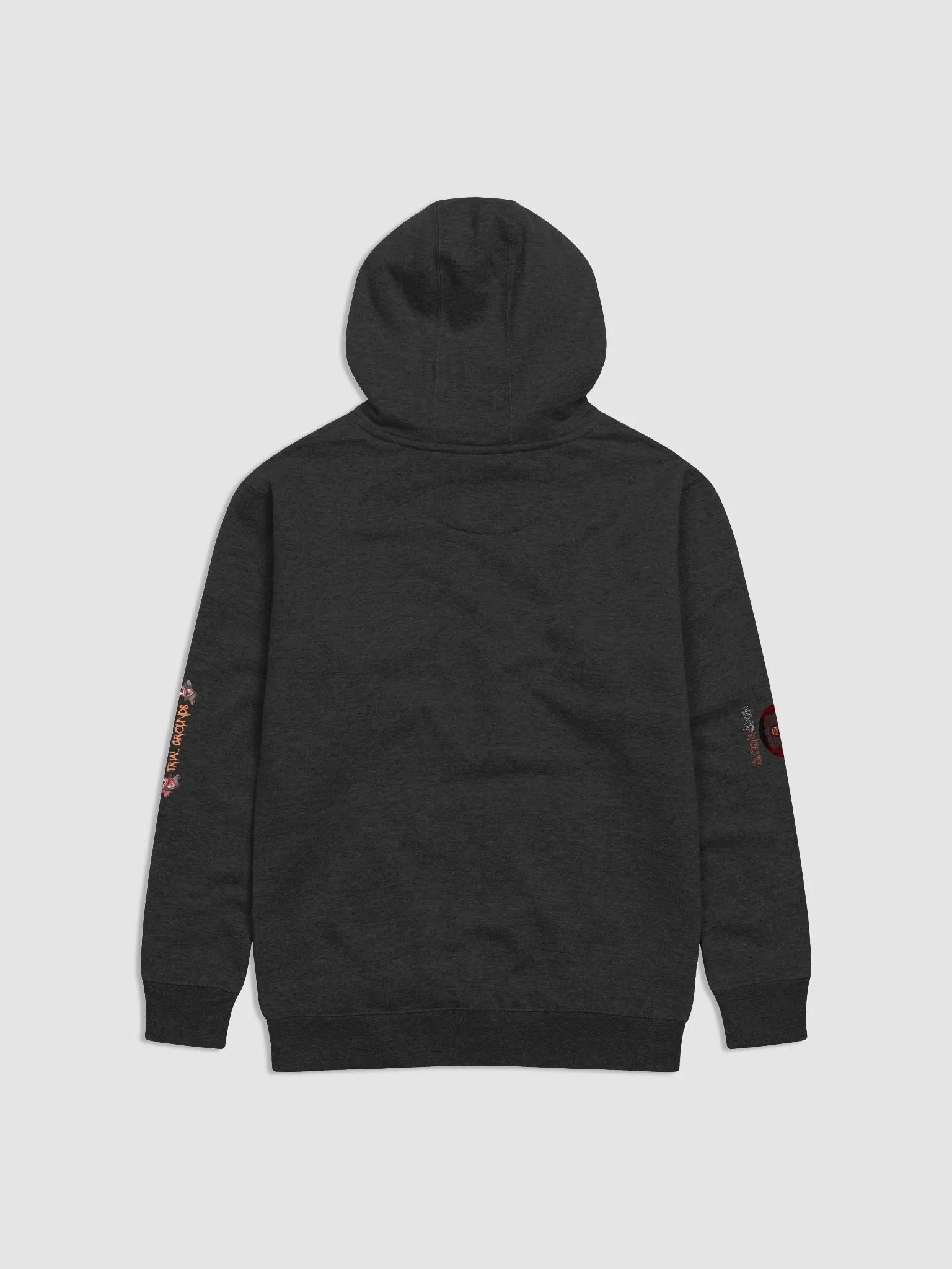 Totem Hoodie product image (2)