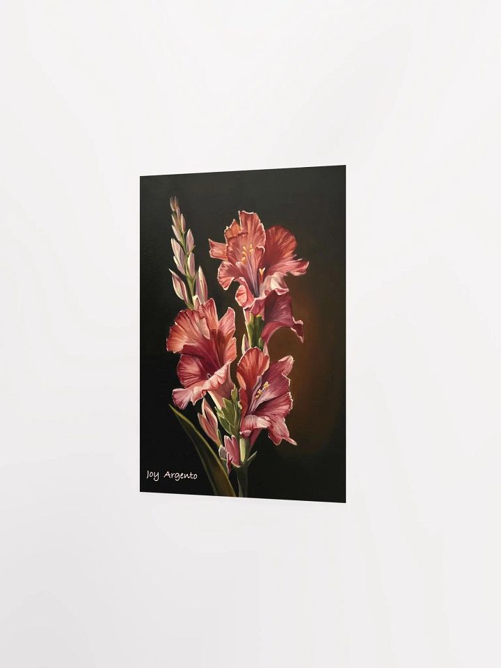 Gladiolus Print product image (4)