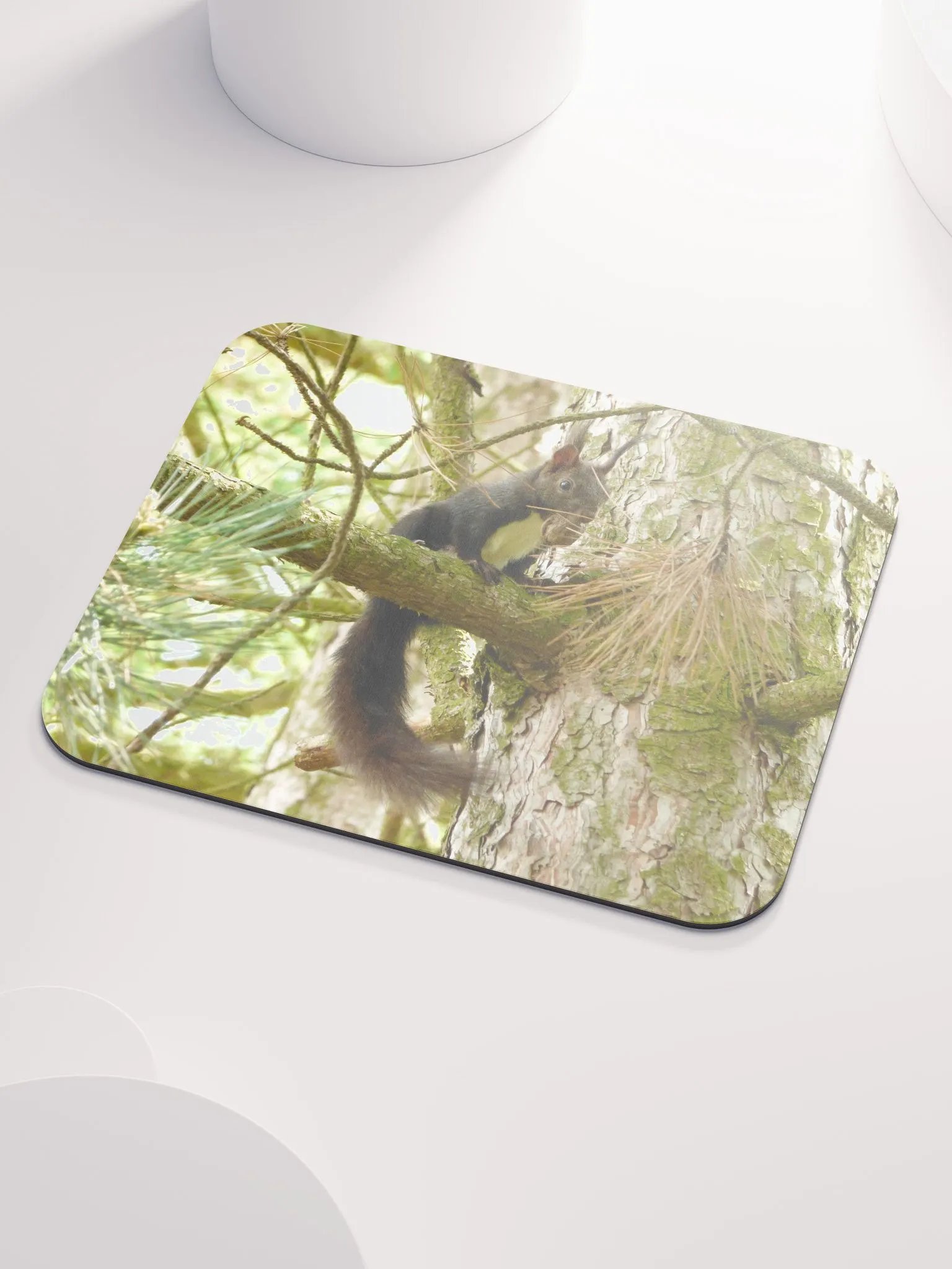Classic Mouse Pad - The Eurasian red squirrel product image (3)