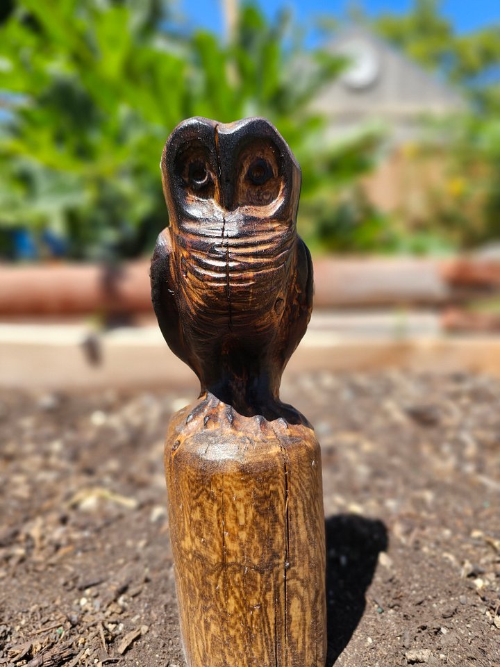 Small Owl Carving product image (1)