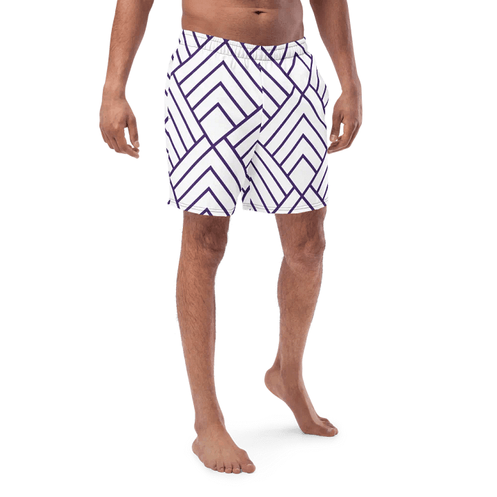 Chevron Zigzag Swim Trunks product image (1)