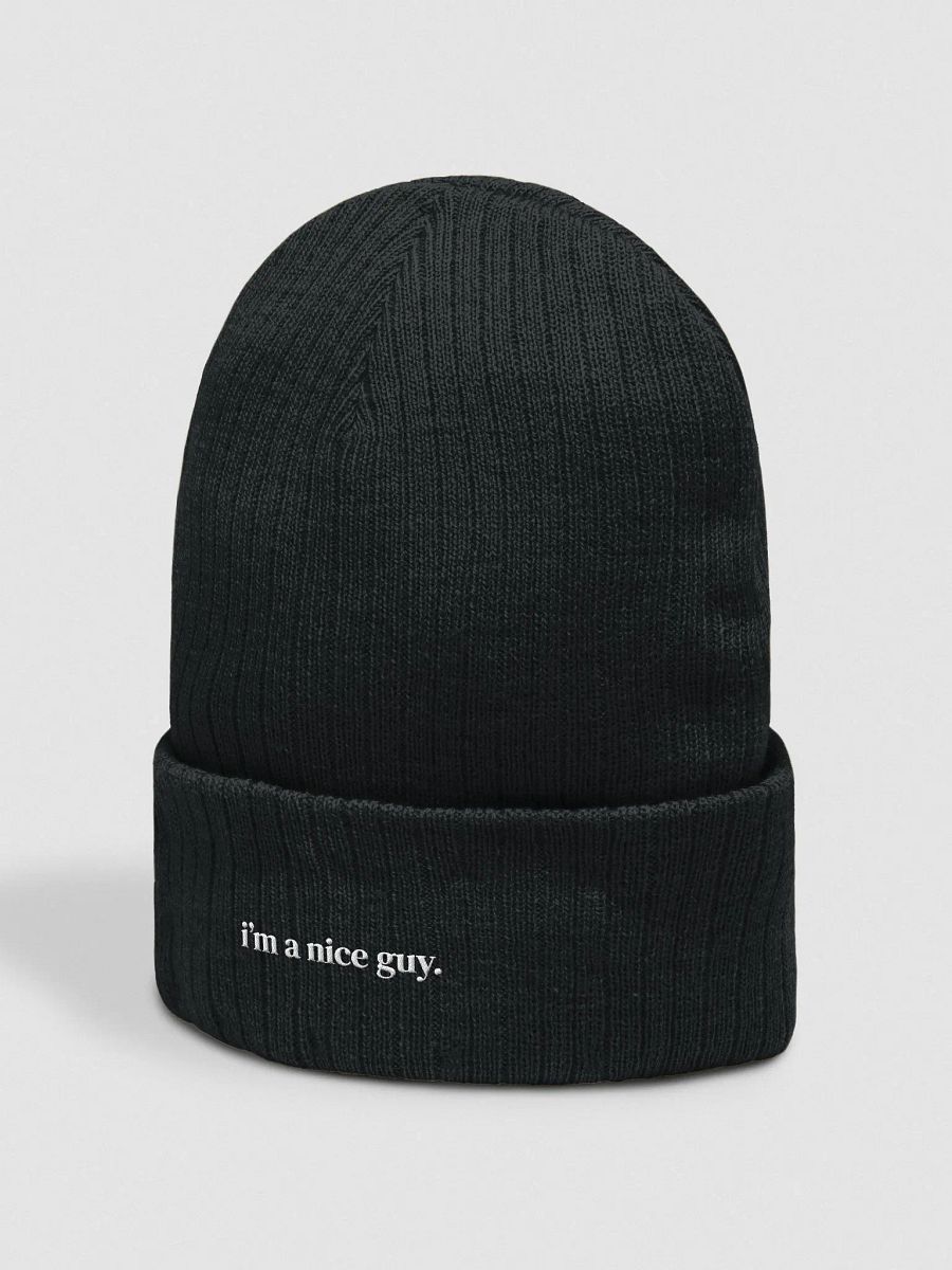 nice guy beanie product image (2)