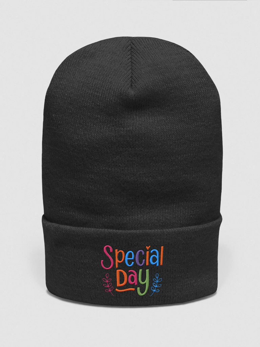 Special Day Celebration Beanie product image (2)