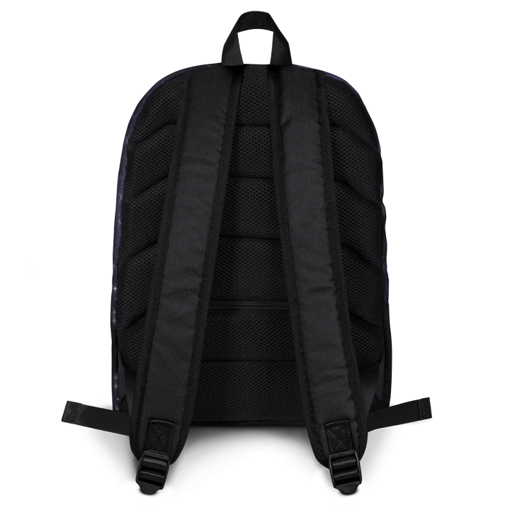 Aries 2025, Constellation, Backpack product image (2)