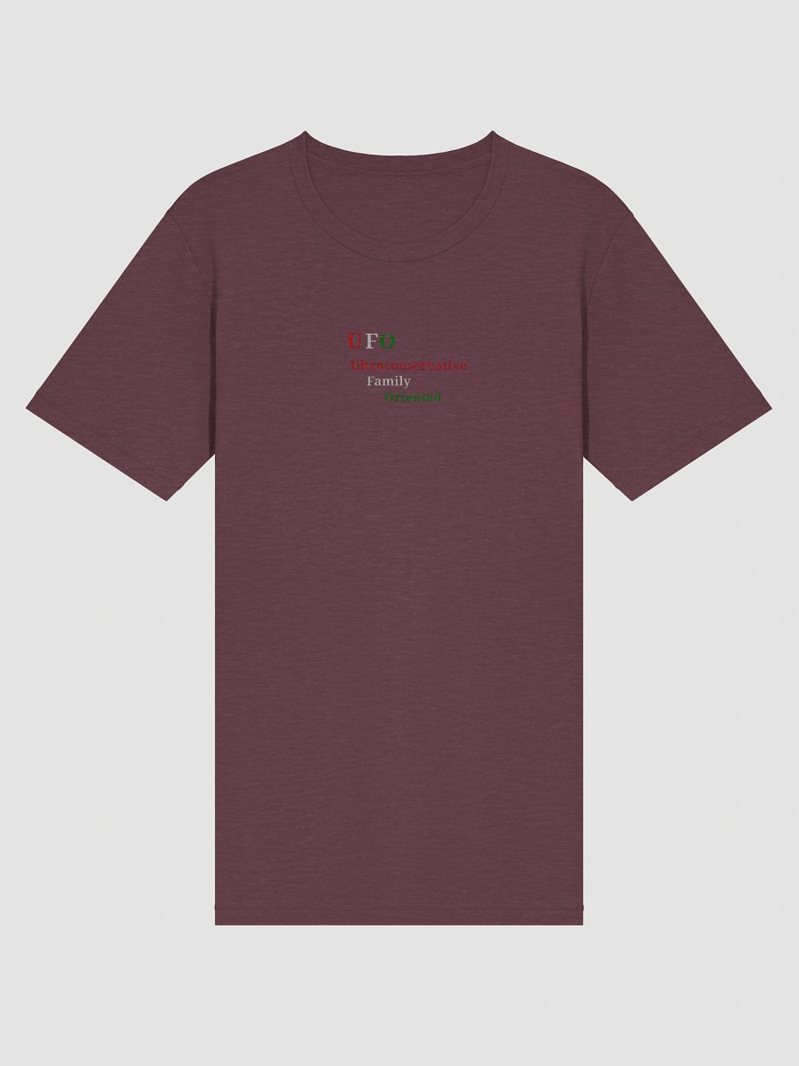 UFO Ultraconservative Family Oriented Tee product image (3)