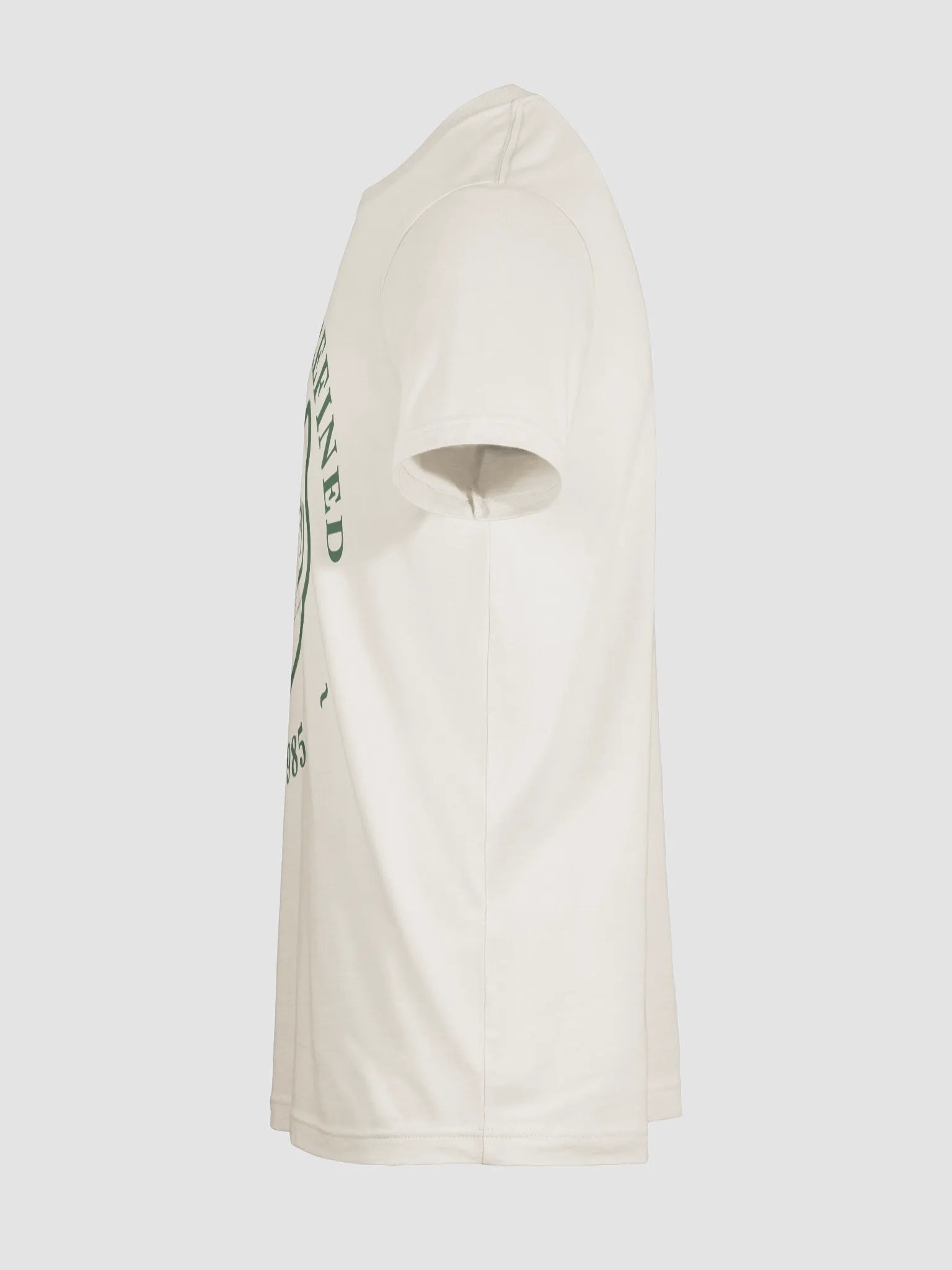 Fierce & Refined Tee - Soft Earthy product image (11)