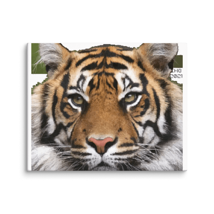 Tiger Digital Drawing Canvas product image (2)